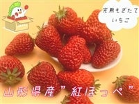 �R�`���Y���n�������Ă������h�g�ق��؁h�@��450g�i2L�`�RL�A15�`20���j