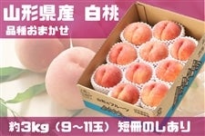 yẐzR`Y@3si9`11ʁj