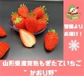 �R�`���Y���n�������Ă������h�������h�@��450g�i2L�`3L�A15�`20���j