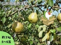 数量限定】ラ・フランス 特秀品: 小さなYAMAGATAマルシェ