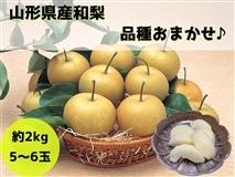山形県産和梨（品種おまかせ）約2㎏: 小さなYAMAGATAマルシェ