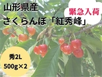 �ً}���ׁI�R�`���Y�������ځu�g�G��v�G2L 500g×2�o���l��