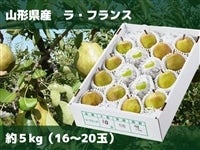 2404-sagae-lafrance5.jpg