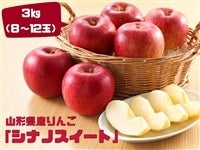  R`Y񂲁uVimXC[gv3s(W`12)