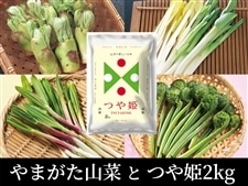 やまがた山菜詰合せとつや姫2kg[クール冷蔵便]: 小さな
