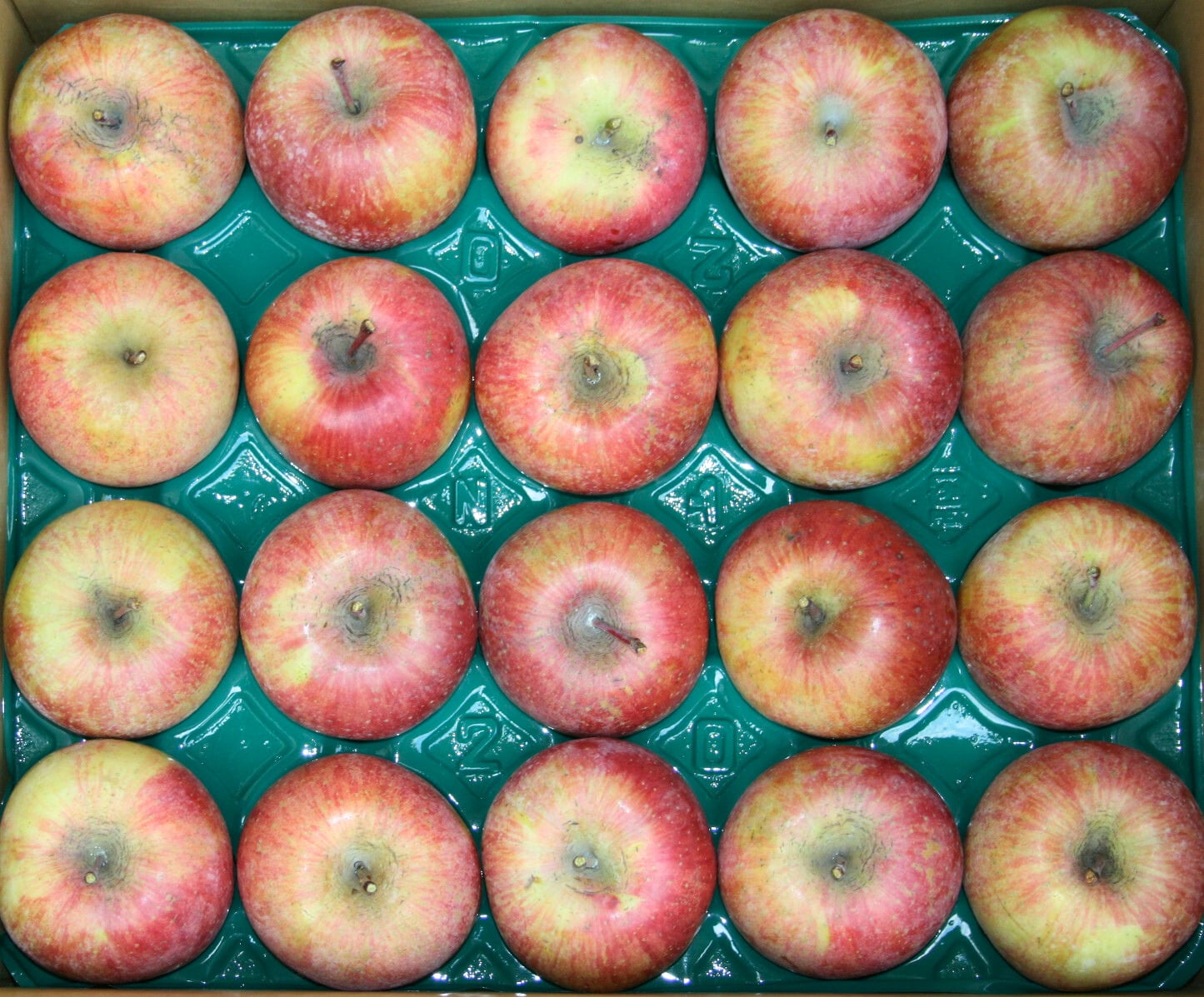 産地直送 通販 お取り寄せ【訳アリ】福島のりんご（サンふじ)約5kg 10～24玉（11月下旬～順次発送予定）: ＪＡ全農福島|ＪＡタウン