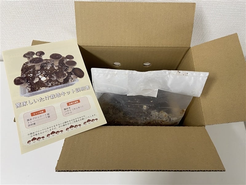 【3箱セット】菌床しいたけ栽培キット【毎月第3金曜日発送】