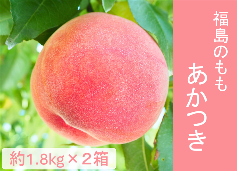 福島のもも〈あかつき〉約3.6kg（約1.8kg（5～8玉）×2箱） 7月