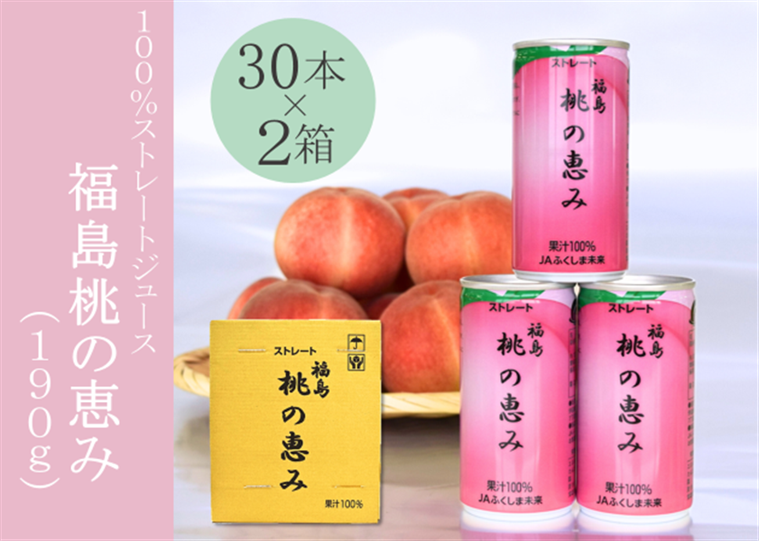 お歳暮 福島桃の恵み 190g×30本 2箱セット