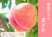 ̂q܂ǂr3.6kgi1.8kgiT`Wʁj×2j W{㔼`\