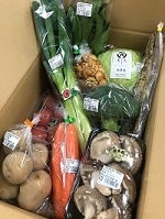 産地直送！ふくしま旬の野菜BOX（10品程度）