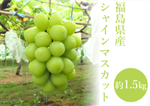 とろ様　シャインマスカット　2kg 福島　クール トロ様専用 大粒シャインマスカット 2キロ クール便（ふるさと