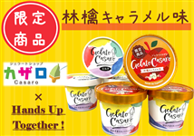 �y10�Z�b�g����!�z�J�U�� �W�F���[�g �ь�L�������� �� �~���N�i6����Z�b�g�j