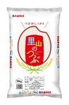 里山のつぶ　精米　10kg〈令和５年産〉