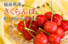 y50ẑځiт܂͍gGj180gpbN×S@U{牺{\