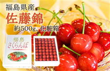 y20ẑځiт܂͍gGj500ϔ@U{牺{\