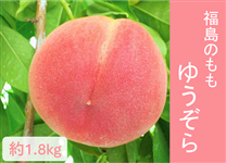 yʌẑi䂤j1.8kgiT`Wʁj@W{㔼`\