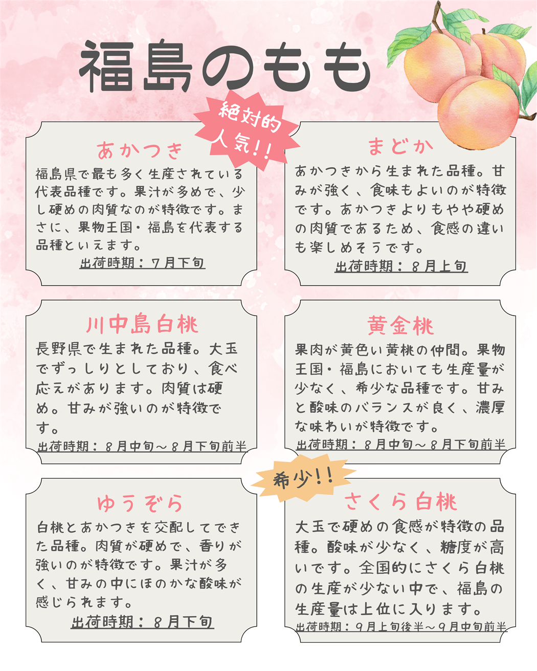 福島のもも〈川中島白桃〉約1.8kg（5～8玉） 8月中旬～8月下旬前半