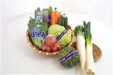 季節の野菜おまかせＢＯＸ（令和3年産会津コシヒカリ5kgセット）