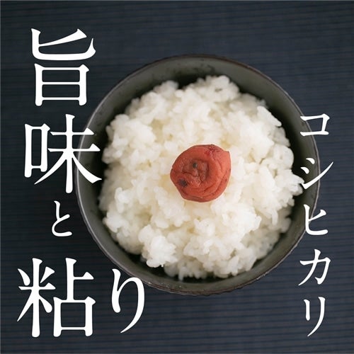 新米コシヒカリ30kg 8000円郡山市内配送無料サンプル米御座います！