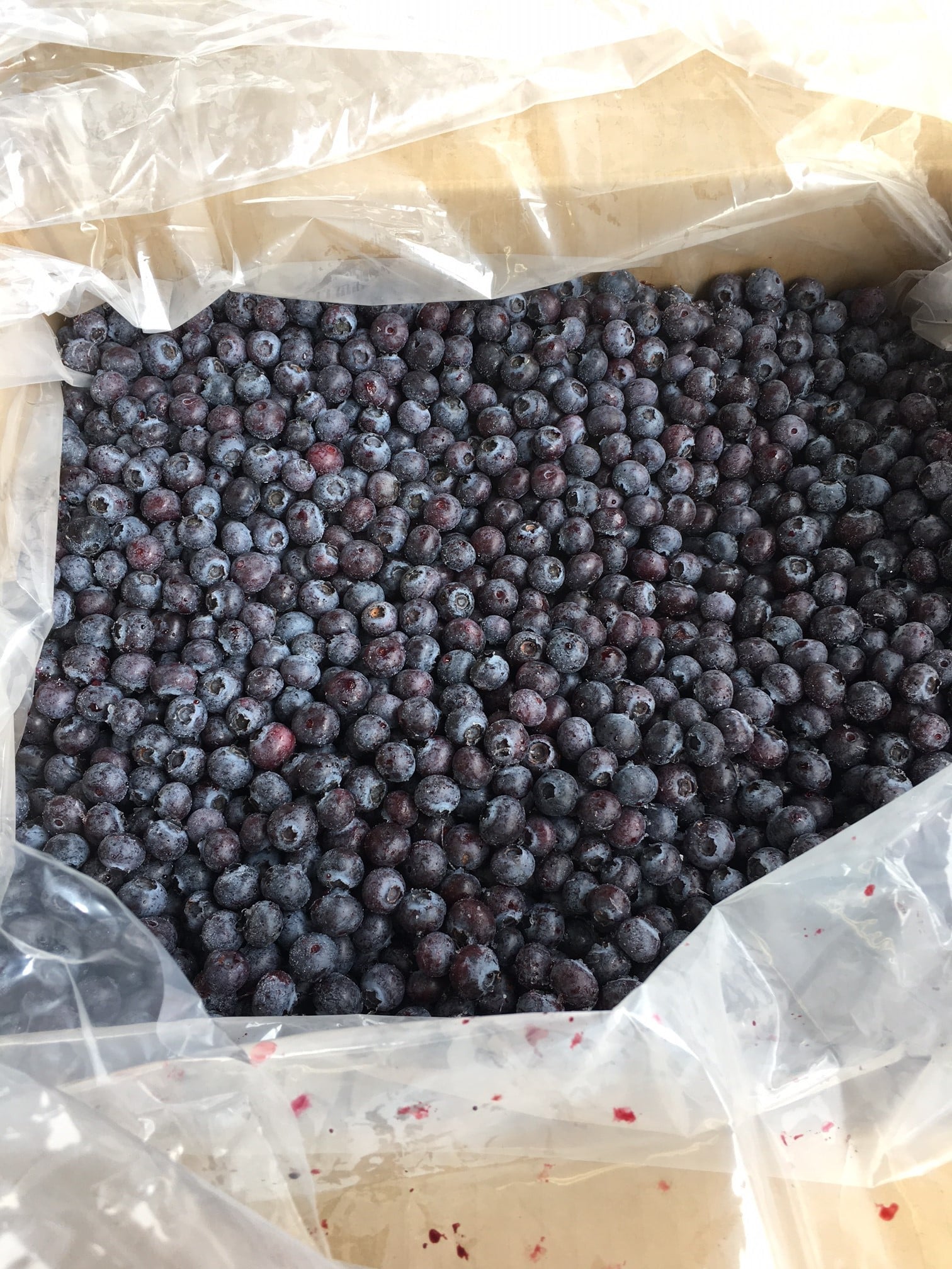【加工用】月山高原の冷凍ブルーベリー≪４ｋｇ≫