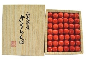 【お得】 クール便】さくらんぼ JA庄内たがわ 500g: 手詰 佐藤錦 果物