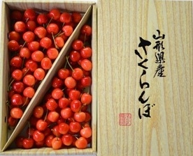 クール便】さくらんぼ 佐藤錦 バラ詰 2L 1kg: JA庄内たがわ|【JA