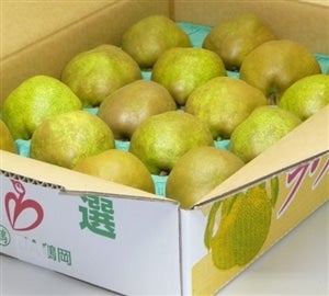 山形ラ・フランス5㎏【3L(16玉)】 11月上旬～順次発送: JA