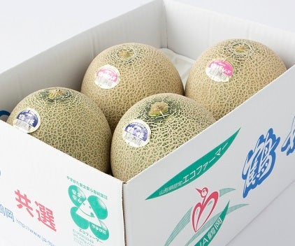 メロン 4個セット庄内産 お中元にも】鶴姫セット（メロン4玉） 【農家応援】: JA鶴岡