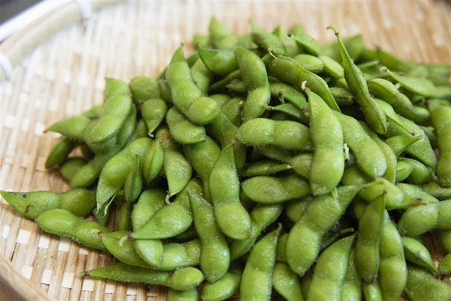 だだちゃまめ 殿様のだだちゃ豆（約2．5kg）前期（8月上旬～8月中旬頃まで順次