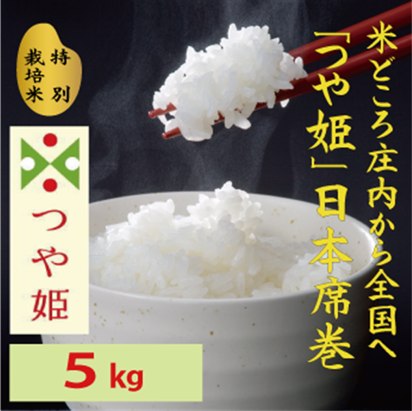 即納｜送料無料 新米 山形県庄内産 つや姫中粒米 白米20kg