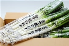 ᒆ˂@12܁@2{甭