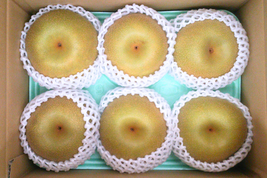 ☆茨城県産 幸水梨・秀品 2.5kg JA常総ひかり【8月上旬頃より順次発送