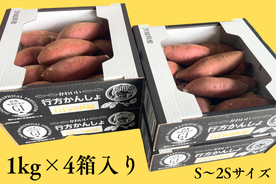 幸福感たっぷりの甘さ！茨城県産『行方の黄福（こうふく）』S～2S 約