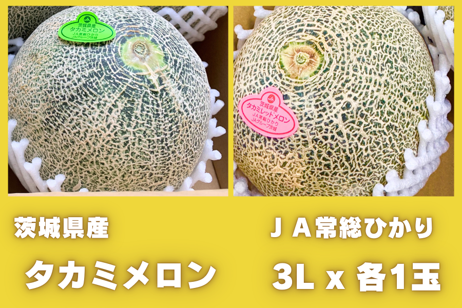 ☆茨城県産タカミメロン・タカミレッドセット 3L×各1玉入（秀）JA常総