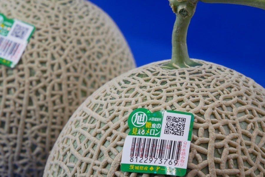 産地直送 通販 お取り寄せ お中元 アールスメロン２玉セット 7月下旬頃より順次発送 いいものいっぱい広場 ｊａタウン