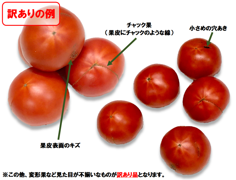 楽天市場】【ふるさと納税】《 テレビで紹介 》糖度9度以上 《訳