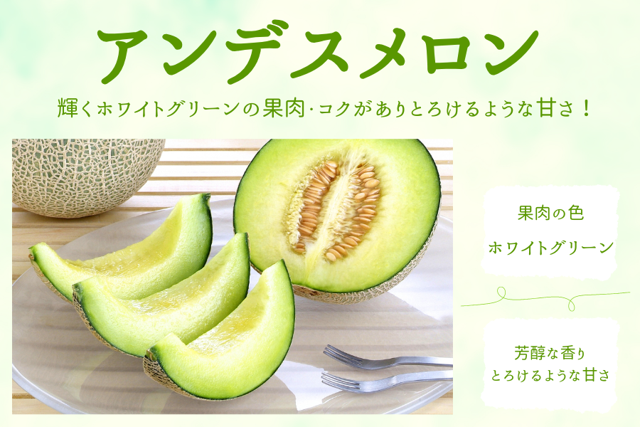 芳醇な香りとコクのある甘さ、とろけるような口当たりが特徴の『アンデスメロン』