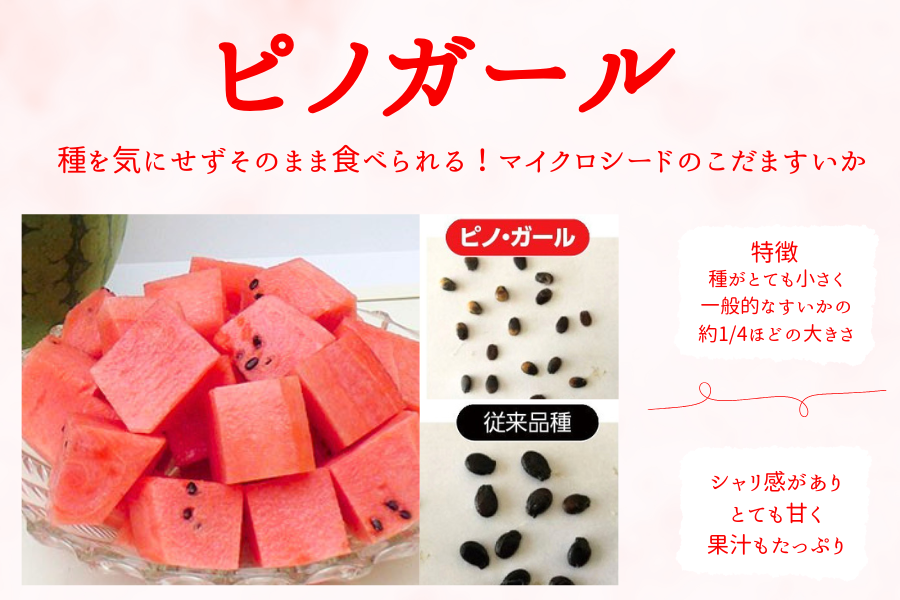 茨城県産こだますいか『ピノガール』秀・L・2玉入り JA常総ひかり【6月