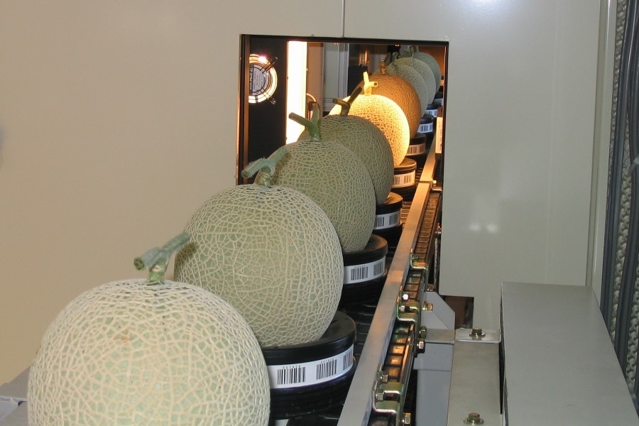 ◎茨城県産 JA茨城旭村 アールスメロン 〇秀 2玉セット【7月下旬頃より
