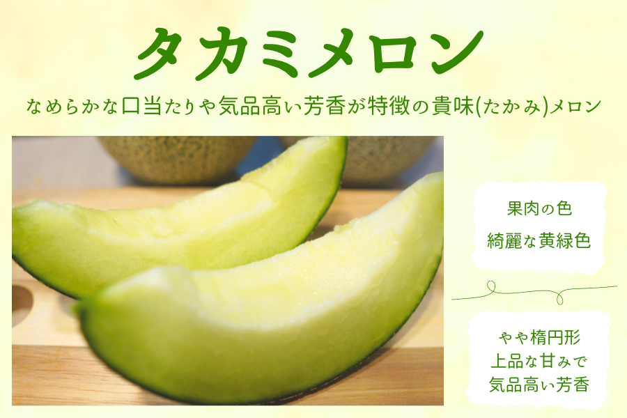 ☆茨城県産タカミメロン・タカミレッドセット 3L×各1玉入（秀）JA常総