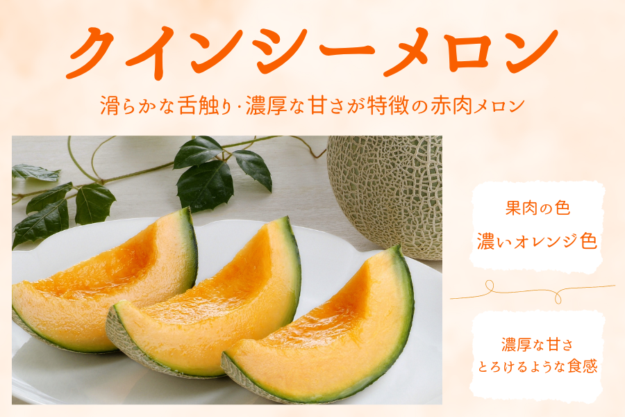 濃いオレンジ色の果肉で濃厚な甘さが特徴の「クインシーメロン」