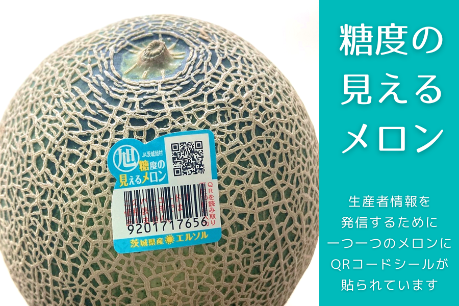 JA茨城旭村の光センサー選果のメロンです。