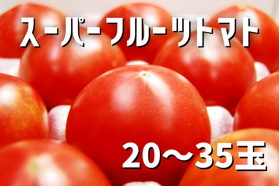 楽天市場】【送料無料】【ミニトマト】【高糖度】【甘い】王糖姫