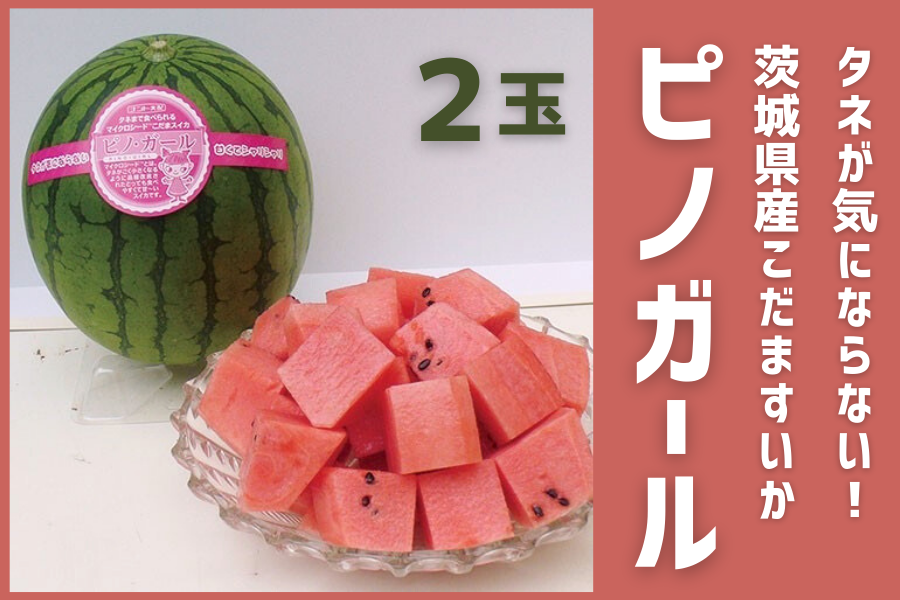 茨城県産 KEKの紅こだますいか 「ピノガール」2玉入り 【6月上旬