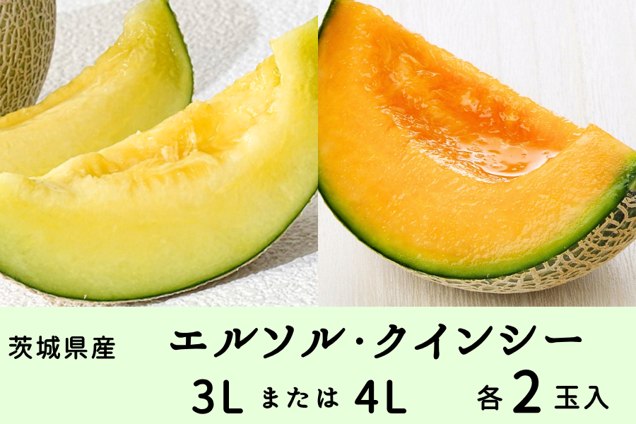 茨城県産エルソル・クインシーセット 3Lまたは4L×各2玉入(秀・優)