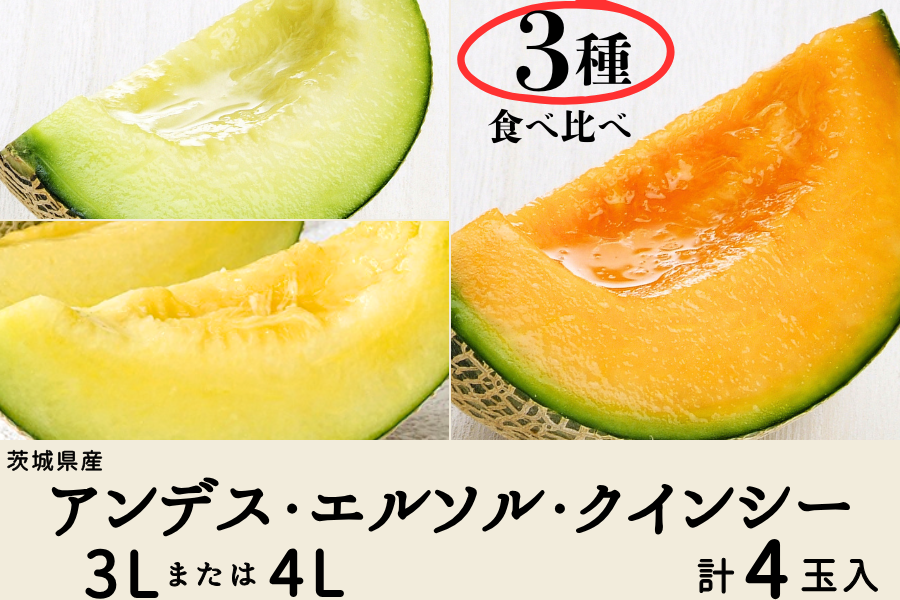 茨城県産アンデス・エルソル・クインシーセット 3Lまたは4L×計4玉入