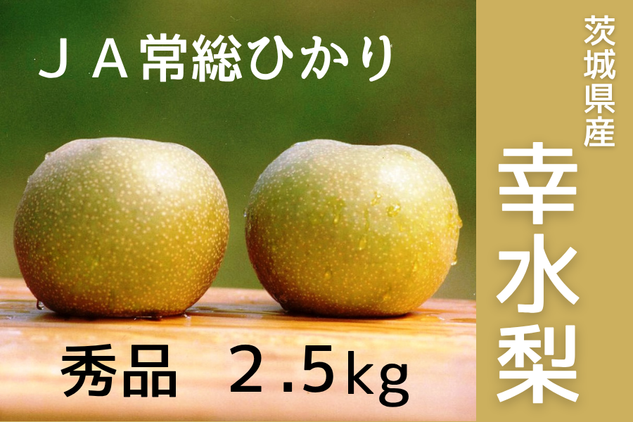 ☆茨城県産 幸水梨・秀品 2.5kg JA常総ひかり【8月上旬頃より順次発送