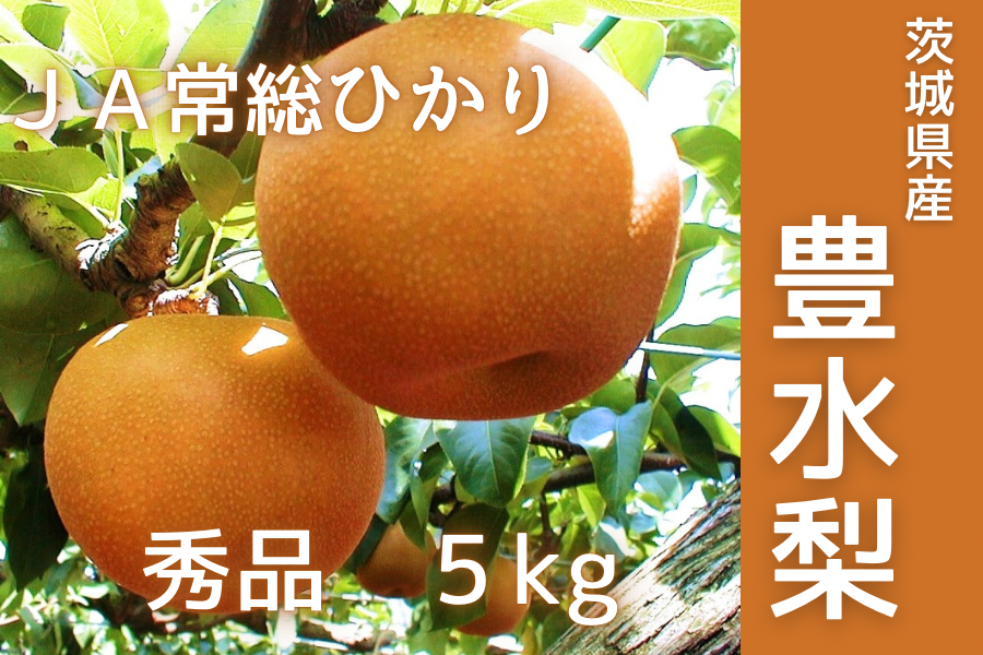 ⚠️みずいろ様専用⚠️茨城県産 梨/恵水 秀品/5キロ 歴史ある