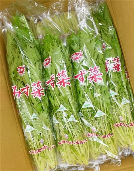茨城県産　みず菜　100g×20袋